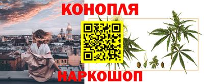 ALPHA PVP Краснознаменск