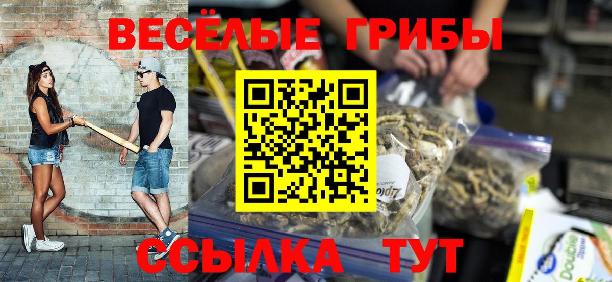 Галлюциногенные грибы GOLDEN TEACHER Аксай